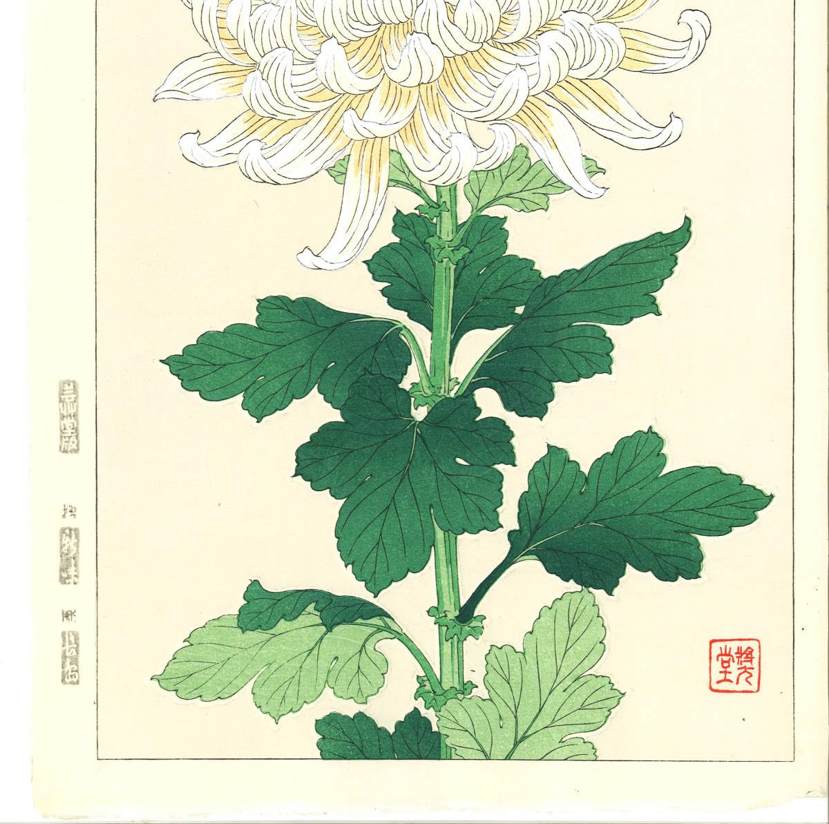 河原崎奨堂「グラジオラス」木版画 芸艸堂版 浮世絵 新版画 植物画 京都 河原崎奨堂「グラジオラス」木版画 芸艸堂版 浮世絵 新版画 植物